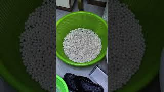 GWUP is a pearl breeding base and has its own pearl jewelry production factory