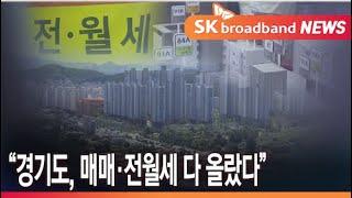 [기남]경기도 주택, 매매∙전월세 매달 상승/SK브로드밴드 뉴스