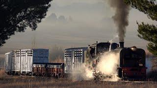 Narrow Gauge S African Steam - Garratt NGG16 No.153 on the Sandstone Estate Railway to Vailima