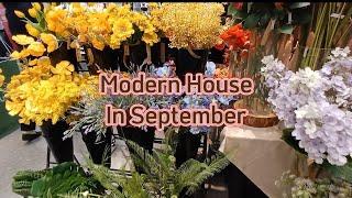 shopping in korea_modern house livingshop