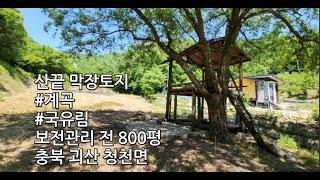 [산끝막장토지800평]낮은야산으로계곡물흐르는남향입니다#괴산토지매매#충청도땅매매#충북토지매매#보은토지매매#청천면토지매매#시골땅#시골집#농막토지매매#귀농#귀촌#괴산땅매매#경기도땅매매