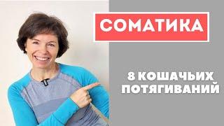 #2 Соматика Томаса Ханны. 8 кошачьих потягиваний