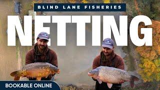 Blind Lane Fisheries Netting: Behind The Scenes of a Fishery 