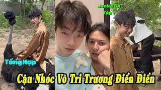 Tổng Hợp Cậu Nhóc Vô Tri Trương Điển Điển Tập 1 | 1 Ngày Cho Chị Gái Đi Cưỡi Đà Điểu Và Cái Kết