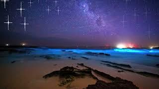 Bioluminescence at the Indian River Lagoon