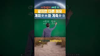 “ 타로캠퍼스 신종민 교수의 사주명리 배우기 같지만 다른 이유 계미癸未와 계축癸丑 #shorts”