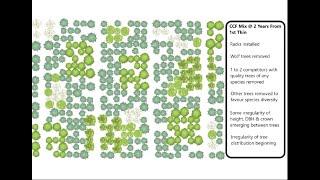 Forest Establishment Design for Continuous Cover Forestry