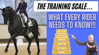 SCALES OF TRAINING - 6 WAYS TO SUCCEED IN DRESSAGE -  (PART 1) | DMA TV EP 341