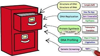 Introduction to Genetics -How to Structure Revision-Leaving Cert 2025 Biology Bugbears