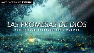 Las Promesas de Dios | Versiculos Biblicos Para Dormir