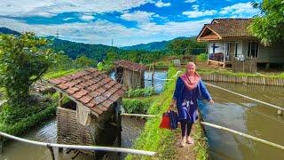 Wahh Pedesaan Ini Indah Nya Kelewatan, Suasana Pedesaan Jawa Barat