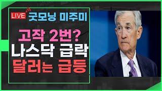 [굿모닝 미주미]  내년 금리 인하 고작 2번? 나스닥 급락,  달러는 2년래 최고치 급등  #이항영 #미주미