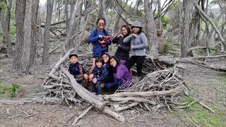 28th December 2020:  Turingal Head Walk, Wallagoot Lake