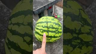 Experiment: Will a watermelon explode if it rolls down from a tall building? #watermelon