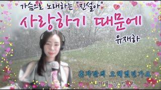 [ 진설아 노래 ] 유재하 - "사랑하기 때문에"   노래로 나의 마음을 드려요(라이브방송중)