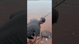 Here Is Seven Fishing At Antero Reservoir In Hartsel, Colorado: Beautiful Place To Fish: #fishing