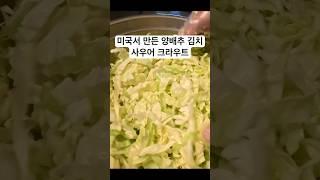 양배추 김치에 유산균 와글와글^ ^#위장에 좋은음식 #Sauerkraut #양배추김치 #미국일상 #미국생활