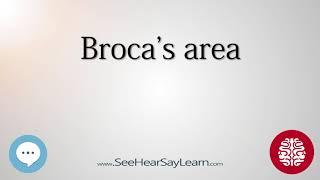 Broca's area   Anatomy of the Brain   SeeHearSayLearn 