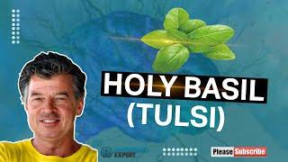 Holy Basil (Tulsi)