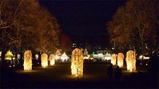 15.12.2016 - Uferlichter in Bad Neuenahr