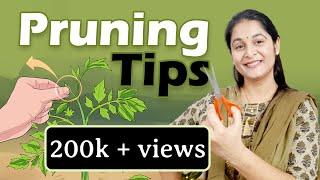 Pruning of Plants | Right Time to Prune | Types & techniques of Pruning #cutting #pruning #gardening