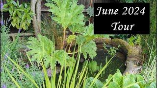 Summer June 2024 sub tropical Garden tour Uk England