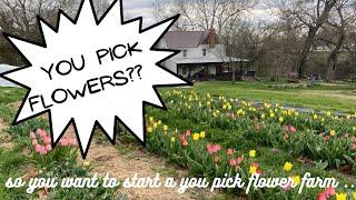 So you want to start a you pick flower farm ..