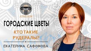 Рудеральные растения / Екатерина Сафонова