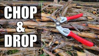 5 Benefits Of Chop And Drop - Garden Quickie Episode 31