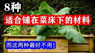 8种适合铺在菜床底部的好材料，而这两种最好不要用！新建种植床底部铺什么？【种菜养花 - 菜床】