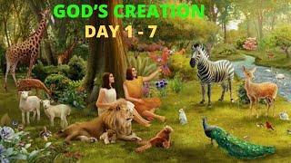 God's Creation | Day 1-7 | The Story of Creation |