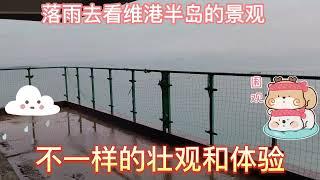 雨天中的維港半島，帶給你不一樣的心情，不一樣的感受，品鑒下雨天中的193戶型，211戶型，115戶型和149戶型的高層景觀