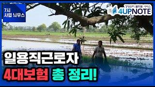 (속보)일용직근로자와 4대보험 총 정리 [7시 사업 늬우스]