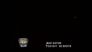 mad gator