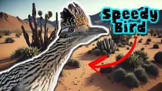 Greater roadrunner: legend of the desert - documentary of animals