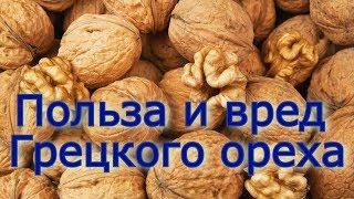 Польза и вред грецкого ореха. Как может навредить орех