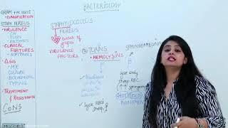 Dr. Preeti Sharma discussing Staphylococcus in Microbiology | Free Video # 6