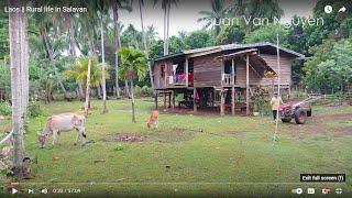 Laos || Rural life in Salavan