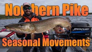 Northern Pike — Seasonal Movements