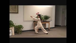 Grandmaster Aiping Cheng - Yang Style Tai Chi 108 Form