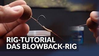 Das Blowback-Rig | Rig Tutorial zum Karpfenangeln | P.R. Baits | Carpfishing | Boilie