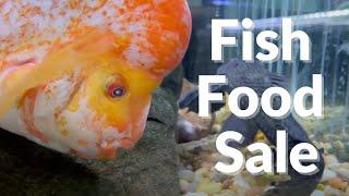 FISH ROOM TOUR **BLACK FRIDAY** 25% OFF FISH FOOD!!!