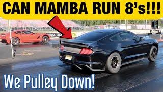 MAMBA's Fastest Pass EVER! Stock Motor VMP 2018 Mustang Tries for 8's in the 1/4 mile!