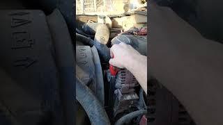 How to get rid of a squeaky alternator belt noise 