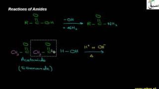 Reactions of Amides, Chemistry Lecture | Sabaq.pk