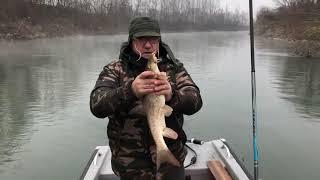 Grande freddo e grandi Pesci: pesca di un grosso Barbo a passata sul fiume Oglio