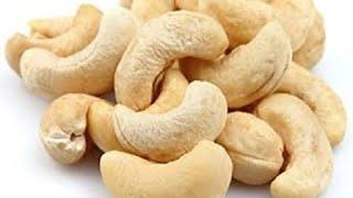 kaju cashew nut farming in pakistan