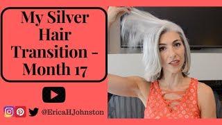 My Silver Hair / Grey Hair Transition - Month 17