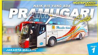 Si Paling Highly Recommended!!! | Trip by Rosalia Indah Super Top (Seat 2-1) SHD125 Jakarta - Malang