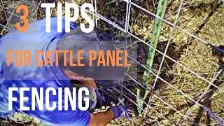 Learn from our mistakes! Tips for cattle panel fencing!